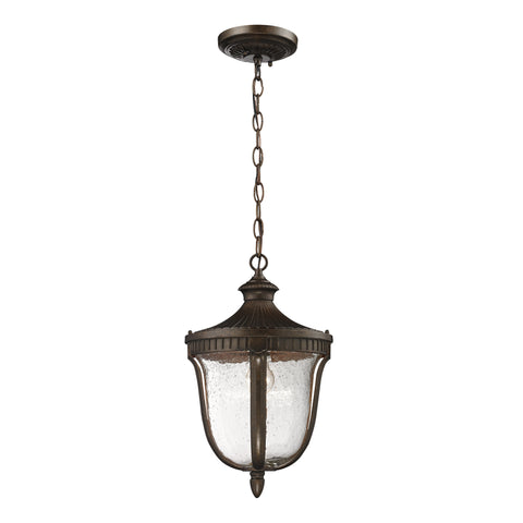 1- Light Outdoor Pendant In  Weathered Rust