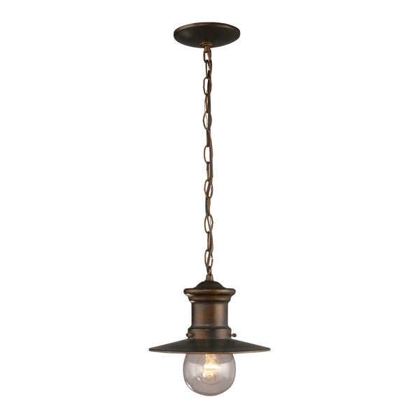 1 Light Outdoor Pendant In Hazlenut Bronze And Clear Seeded Glass