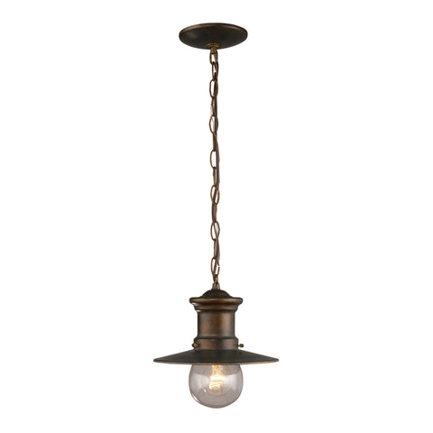 1 Light Outdoor Pendant In Hazlenut Bronze And Clear Seeded Glass