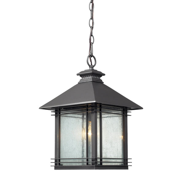 1- Light Outdoor Pendant In Graphite