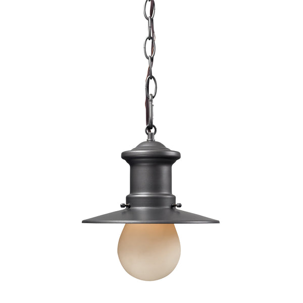 1- Light Outdoor Pendant In Graphite